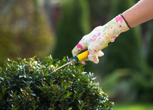 Seasonal garden cleanup in Honor Oak