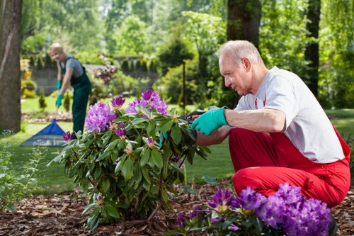 Gardening crew completing a tidy-up in an Honor Oak communal garden