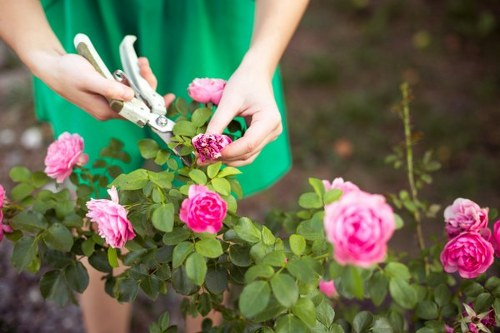 Gardeners wearing protective gloves and eye protection using hand tools