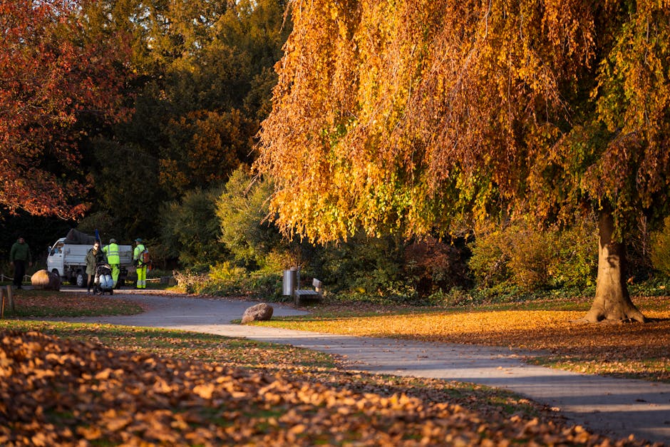 A park scene in autumn showing a winding paved pathway bordered by fallen orange and brown leaves. To the right, a large mature tree with vibrant orange and yellow foliage extends its branches over th